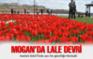 Mogan'da lale devri