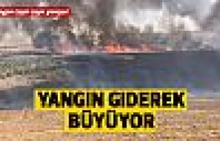 Mogan'daki yangın giderek büyüyor