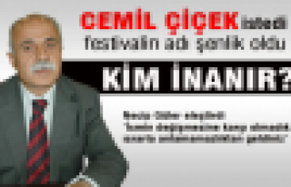 Necip Güler'den eleştiriler