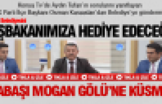 Odabaşı Mogan Gölü'ne küsmüş