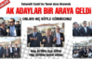 Onları hiç böyle görmediniz