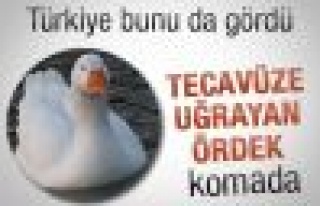 Ördeğe tecavüz etti