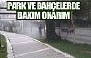 Park ve bahçelerde bakım onarım!