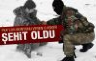 PKK'lıya montunu veren asker şehit oldu 