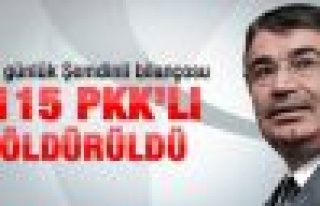 Şahin: 115 terörist öldürüldü 2012 final yılı