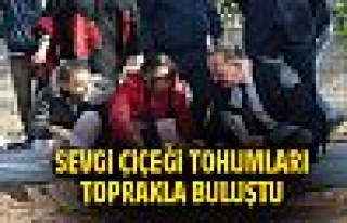 Sevgi çiçeği tohumları toprakla buluştu