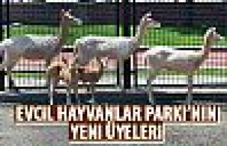 Sincan Evcil Hayvanlar Parkı'na yeni üyeler