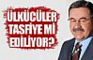 Ülkücüler tasfiye mi ediliyor