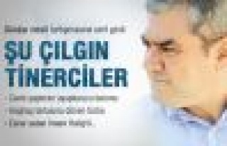 Yılmaz Özdil: Şu çılgın tinerciler