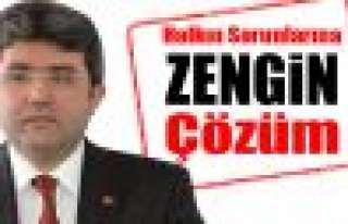 Zengin Çözüm