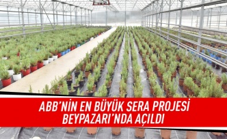 ABB en büyük sera projesi Beypazarı'nda açıldı
