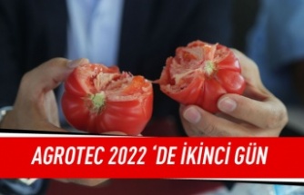 Gölbaşı'nda düzenlenen AGROTEC 2022 25. uluslararası tarım fuarı'nın ikinci gününde  en iyi elma en iyi domates yetiştiriciliği yarışmaları düzenlendi