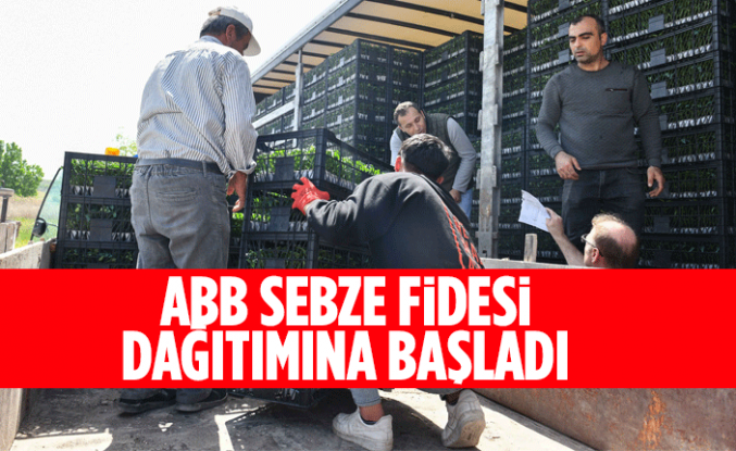 ABB SEBZE FİDESİ DAĞITIMINA BAŞLADI