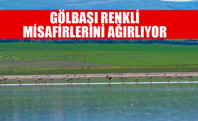 GÖLBAŞI RENKLİ MİSAFİRLERİNİ AĞIRLIYOR