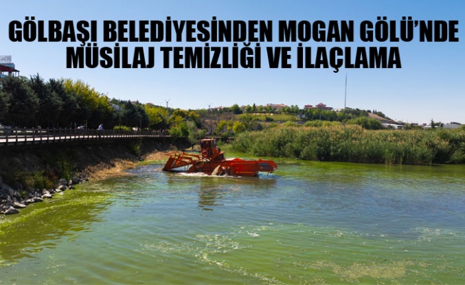 GÖLBAŞI BELEDİYESİNDEN MOGAN GÖLÜ’NDE MÜSİLAJ TEMİZLİĞİ VE İLAÇLAMA