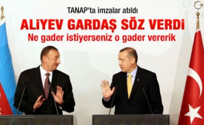 Aliyev gardaşından Erdoğan'a söz 