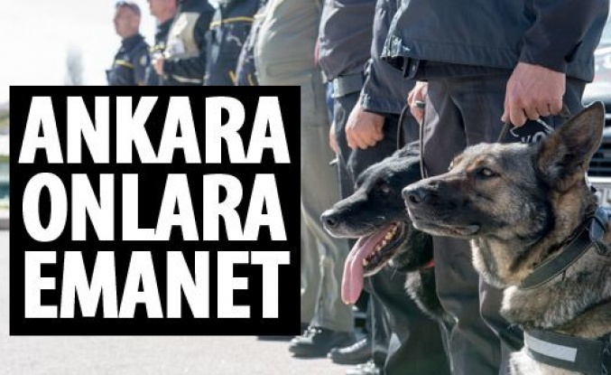 Ankara'nın güvenliğinde K-9 köpeklerinin önemi