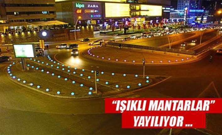 IŞIKLI MANTARLAR YAYILIYOR