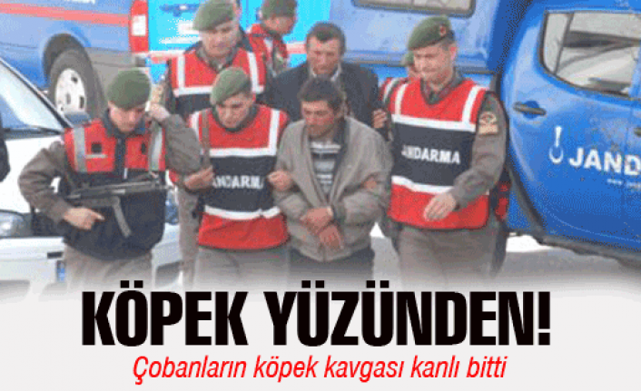 Köpek yüzünden!