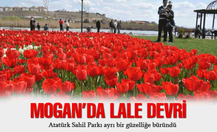 Moganda lale devri