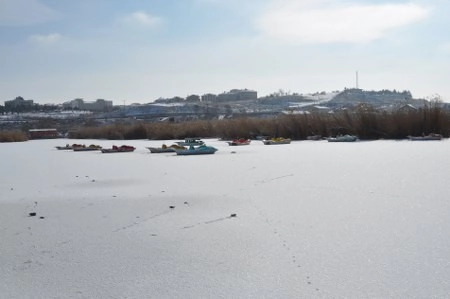 ah bir de dilleri olsa