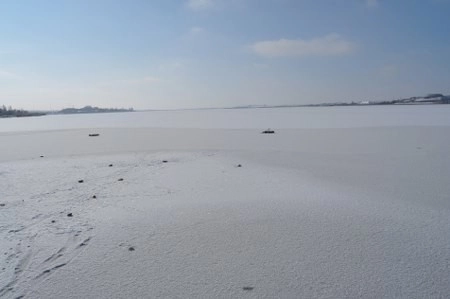 ah bir de dilleri olsa