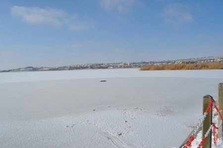 ah bir de dilleri olsa