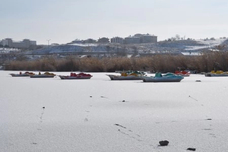 ah bir de dilleri olsa