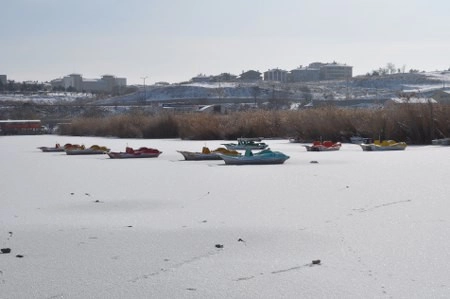 ah bir de dilleri olsa