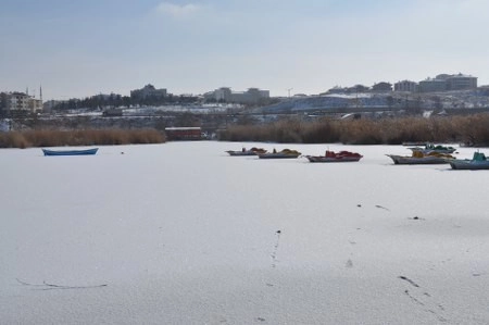 ah bir de dilleri olsa