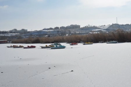 ah bir de dilleri olsa