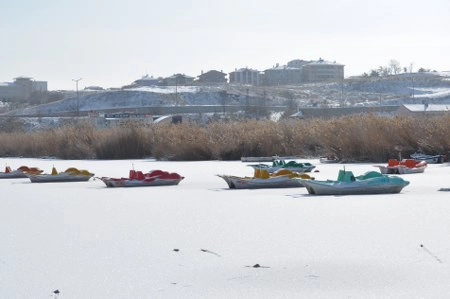 ah bir de dilleri olsa