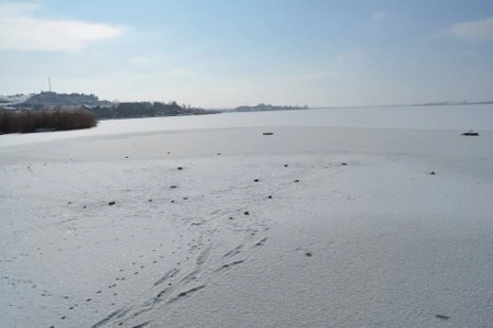 ah bir de dilleri olsa