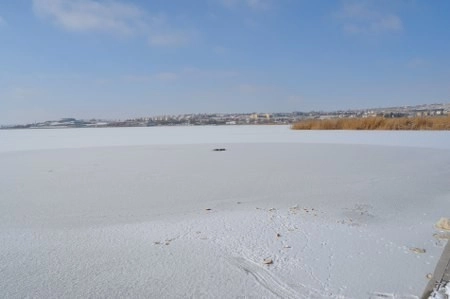 ah bir de dilleri olsa