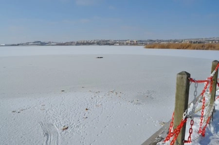 ah bir de dilleri olsa