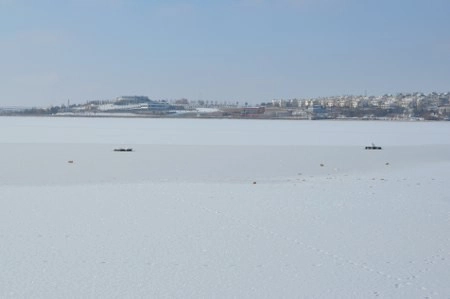 ah bir de dilleri olsa