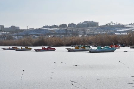 ah bir de dilleri olsa