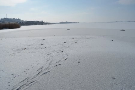 ah bir de dilleri olsa