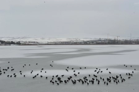 Mogan'da kar manzaraları