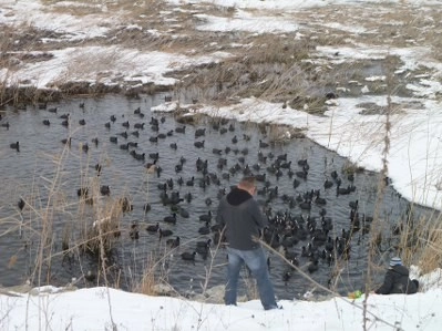 Bir tarafta eğlence, bir tarafta mücadale