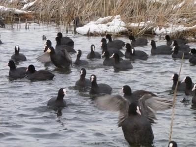 Bir tarafta eğlence, bir tarafta mücadale