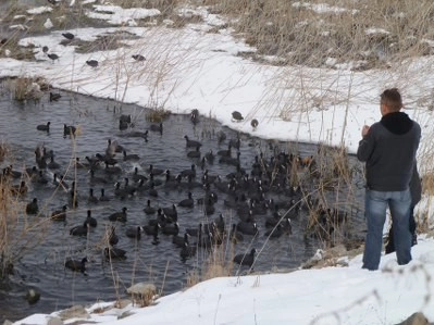 Bir tarafta eğlence, bir tarafta mücadale