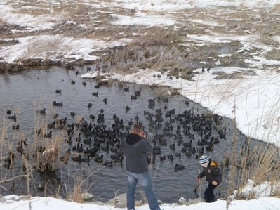 Bir tarafta eğlence, bir tarafta mücadale