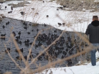 Bir tarafta eğlence, bir tarafta mücadale