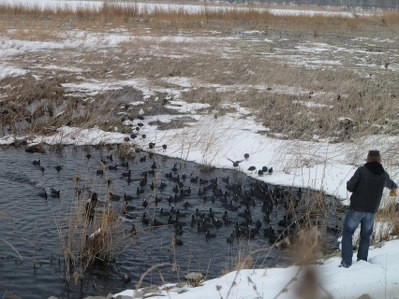 Bir tarafta eğlence, bir tarafta mücadale