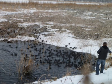 Bir tarafta eğlence, bir tarafta mücadale