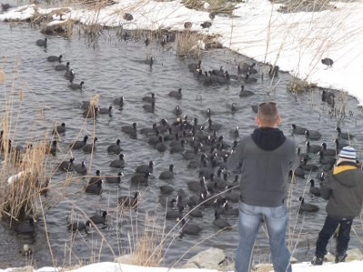 Bir tarafta eğlence, bir tarafta mücadale