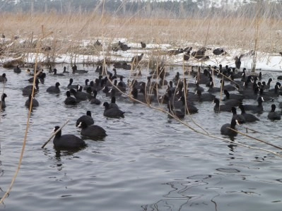 Bir tarafta eğlence, bir tarafta mücadale