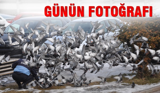 Günün fotoğrafı