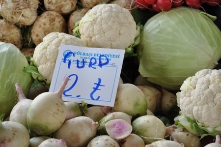 Türk Lirası'nın yeni simgesi Gölbaşı'nda